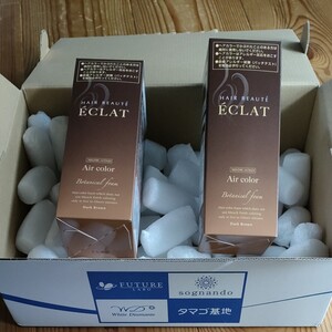 ボタニカルエアカラーフォーム(ダークブラウン)2本セット