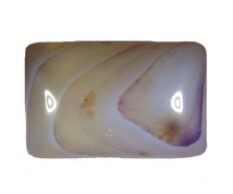 【アゲート 25.5ct:2119】Agate 瑪瑙 裸石 標本 鉱物 宝石 Gemstone_画像1