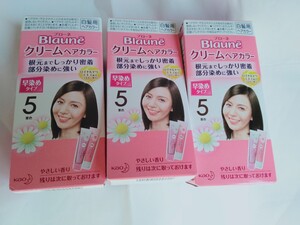 3個セット ブローネ ヘアカラー 白髪染め クリーム 花王 白髪用ヘアカラー クリームカラー 早染め 複数利用可能 5番 栗色