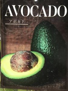  авокадо саженец 