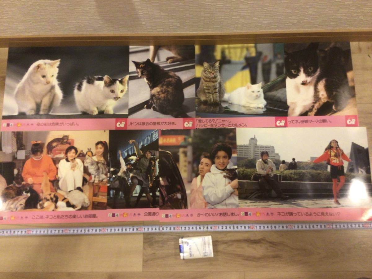 ◆Old movie lobby card◆Toei◆Yoko Oginome◆Cats on Park Street◆B3 not for sale x 8 piece set◆, movie, video, Movie related goods, photograph