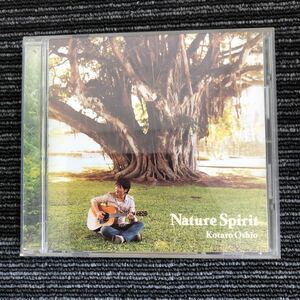 k【あ1】押尾コータロー　Nature　Spirit　14曲入り(ジェイク・シマブクロとのセッション2曲含む)　CD　アルバム　ギター　ジャンク　現状