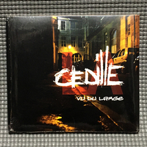 新品未開封 La Cedille - Vu Du Large 【CD】 Chocolate Fireguard Records - CFA CD008_画像1