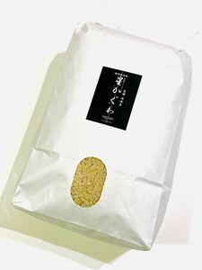 令和3年産【丹波産】インディカ 玄米 -特別栽培米-“星かぐわ” 10kg