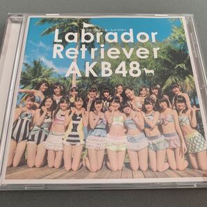 ラブラドール・レトリバー　AKB48 CD 