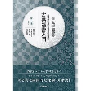 書道書籍 芸術新聞社 星弘道臨書集 古典臨書入門第二集 楷書 (２) A4判64頁/メール便対応(800675) テキスト 参考書