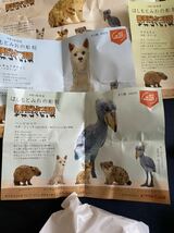 那須どうぶつ王国 はしもとみおの彫刻 全5種セット　ガチャ　フィギュア　奇譚クラブ　限定　ハシビロコウ　マヌルネコ　スナネコ　他_画像2