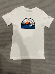 Patagonia パタゴニア Tシャツ 白