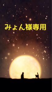 みょん様専用