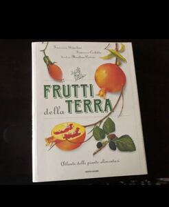 洋書 Fruttl della Terra