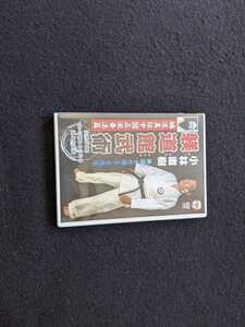 小林直樹　躾道館武術　DVD 櫻公路一顱　嫡流真伝中国正派拳法　澤井健一　太氣至誠拳法 即決　突き　肘打ち　投げ技　蹴り　組手