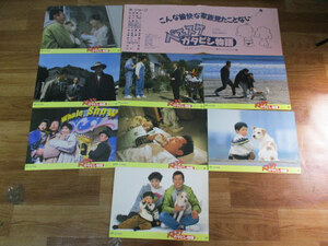 Art hand Auction ◆松竹映画 ペエスケ ガタピシ物語 スチール写真 8枚組◆邦画 約25.7×36.5㎝ 所ジョージ 竹中直人 谷啓 穴戸錠 非売品レア稀少♪H-B-51102, 映画, ビデオ, 映画関連グッズ, 写真