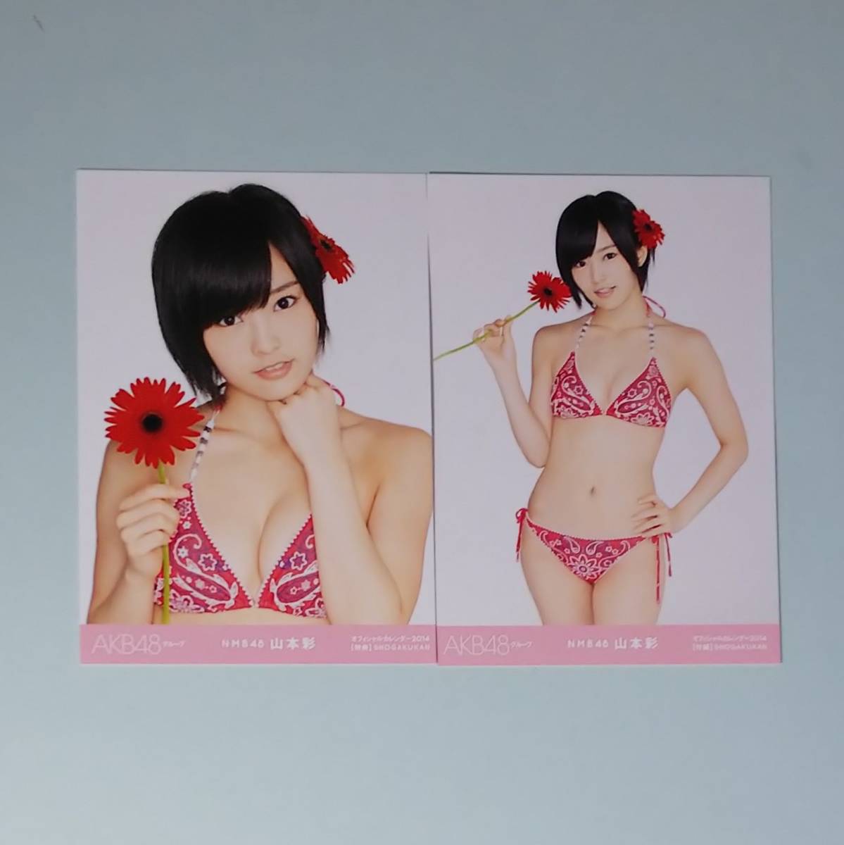 山本彩 NMB48 個別生写真 2015 7月 5種コンプ AKB48 水着 | perkebunan