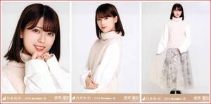 乃木坂46 岩本蓮加 ニットベスト 2019年11月 ランダム生写真 3種コンプ 3枚 3枚コンプ