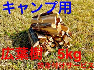 ソロキャンプ用 小割り薪20cm 広葉樹5kg