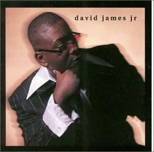 インディ人気作 廃盤 David James Jr bmr SOUL DIGGER レア盤　日本中の歌好きを唸らせたモダン・シカゴアン