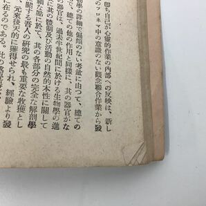 戦前版 岩波文庫 / 生命の不可思議 / ヘッケル 著 / 後藤 格次 訳 / 上・下 / 2冊セット【ta05e】の画像9