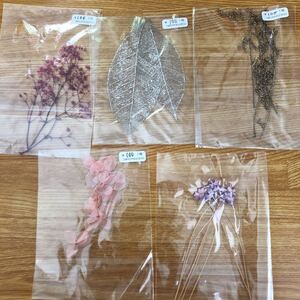 ハンドメイド ドライフラワー 5種類セット