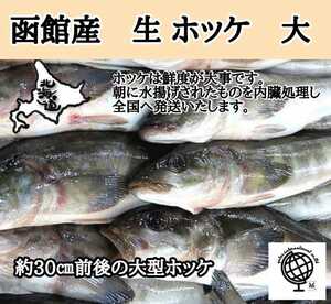 函館産　生ホッケ　5尾