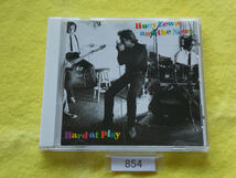 CD／Huey Lewis & The News／Hard At Play／ヒューイ・ルイス & ザ・ニュース／ハード・アット・プレイ／管854_画像1