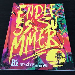 87-59 B'z ENDLESSSUMMER 写真集 ミュージシャン music 稲葉浩志 松本孝弘 コンサートグッツ 歌手 芸能 LIVE-GYM ビーズ　音楽 有名 日本