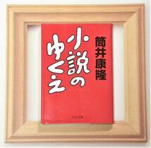 ★ 送料無料 !!! ★ 美品 ★ 小説のゆくえ / 筒井康隆 ★ 中公文庫 ★ 2006年 3 月 25日 発行 初版本 !!! ★_画像1