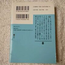 絹のまなざし (講談社文庫) 藤堂 志津子 9784062634861_画像2