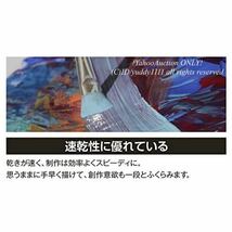 新品未開封 Turner Color ターナー色彩 アクリルガッシュ 13本(12色) スクールセット AG13C 11ML 美術 画材 絵の具 即決_画像3