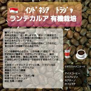 自家焙煎屋　コーヒー豆　インドネシア　トラジャ　ランテカルア　日本有機JAS認証　300g