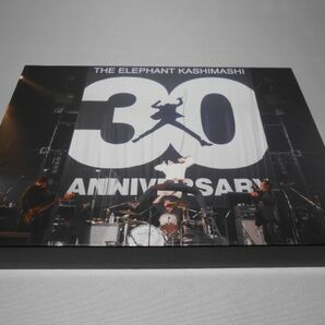 30th ANNIVERSARY TOUR THE FIGHTING MAN FINAL さいたまスーパーアリーナ 初回限定盤 Blu-ray エレファントカシマシの画像1