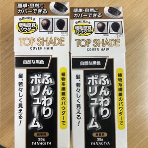 柳屋 トップシェード カバーヘアーBK 35g 2個