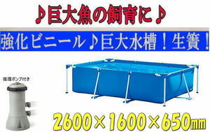 [ new goods! prompt decision! pump attaching!]** large aquarium! raw .!260×160×65cm! huge fish! colored carp breeding! breeding .!**