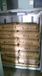 新米　減農薬・有機肥料使用米　低温冷蔵庫保存　令和3年度　富山県産 「こしひかり」　100％（玄米　１口は、30ｋｇ）