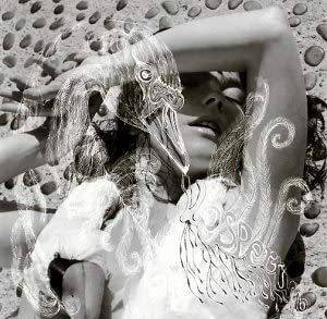 Vespertine ビョーク 輸入盤CD