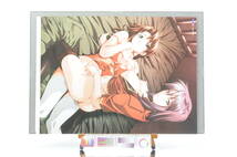 [Delivery Free]1990s Dengeki-Hime Game Girl A3 Pin-Up(Mink / Mitsuru Yuki) 電撃姫A3 Mink/結城みつる[tag電撃姫]_画像1