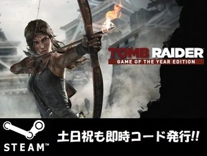 ヤフオク トゥームレイダー コンピュータ の中古品 新品 未使用品一覧 ヤフオク トゥームレイダー コンピュータ の中古品 新品 未使用品一覧