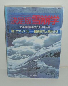  snow 2002[ decision version snow ..- snowy mountains Survival * newest research . accident analysis -] Hokkaido snow . accident prevention research . compilation 