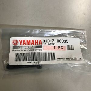 M1342 YAMAHA ウォーターポンプボルト　新品　2個セット　品番91317-06035　YZF-R1