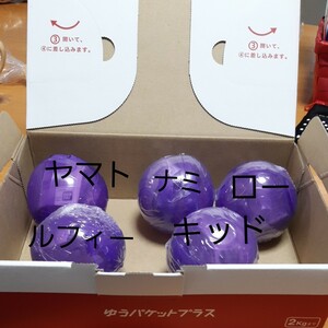 ワンピの実 ガチャガチャ