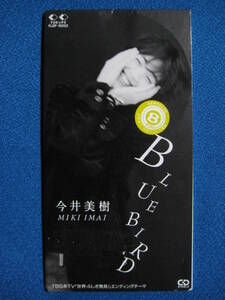 8cmCD●今井美樹 / Bluebird / amour au chocolat(new version)　レンタル盤●定形郵便可●0236