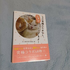 超おもてなし特価セール！その笑顔のためならニャンだってできるよ！