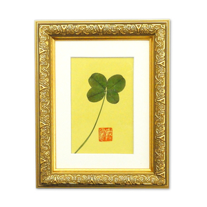 * free shipping * hand made * four . leaf. clover pressed flower amount entering * discoloration not doing four . leaf. clover * better fortune * Lucky item 