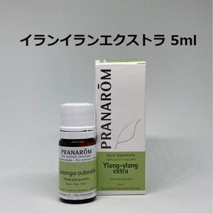プラナロム イランイランエクストラ 5ml 精油 PRANAROM