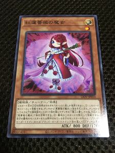 遊戯王 個数9 紅蓮薔薇の魔女（ブラッドローズウィッチ） ノーマル LIOV LIGHTNING OVERDRIVE ライトニング・オーバードライブ