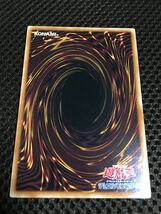 遊戯王 個数3 想い集いし竜 レア DAMA DAWN OF MAJESTY ドーン・オブ・マジェスティ_画像2