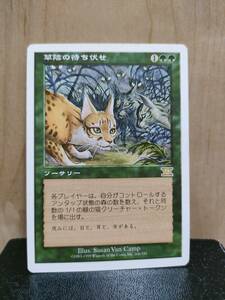 ★☆MTG 【JP】《草陰の待ち伏せ/Waiting in the Weeds》[6ED] 緑R★☆ 全ての商品同梱可能