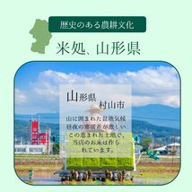 コシヒカリ 米 お米 30kg 10kg×3袋 送料無料 玄米 白米 精米無料 一等米 山形県産 令和3年産_画像5