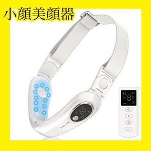 小顔美顔器 EMS美顔器 温熱ケア 光エステUSB充電式 9段階強度