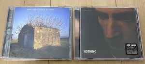 2枚セット JOE LALLY「THERE TO HERE」「NOTHING IS UNDERRATED」 (検FUGAZI DISCHORD)