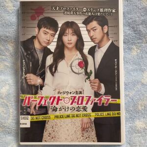 韓国映画 パーフェクトプロファイラー